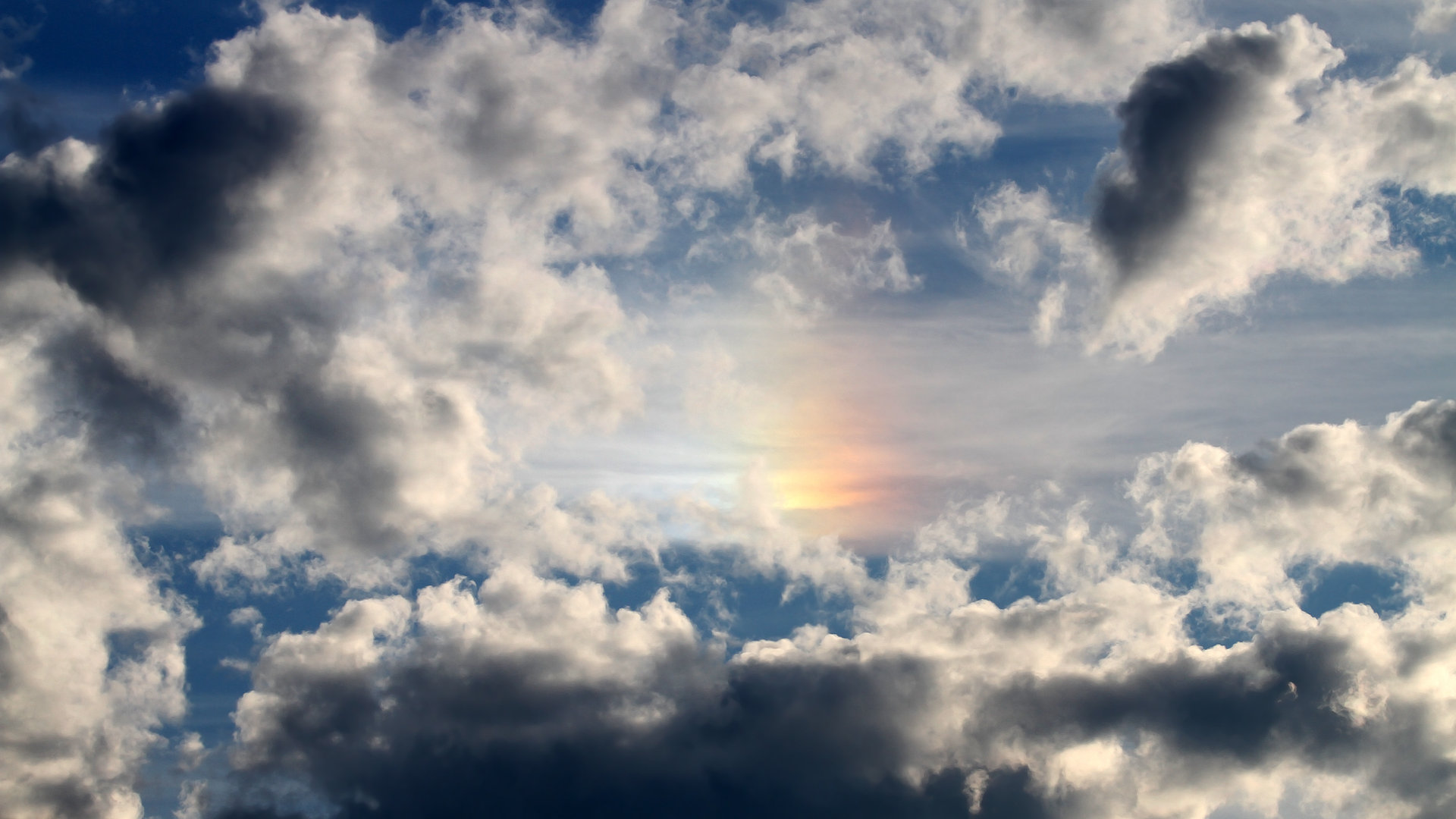 骑士，奇才，与总决赛的驭风者