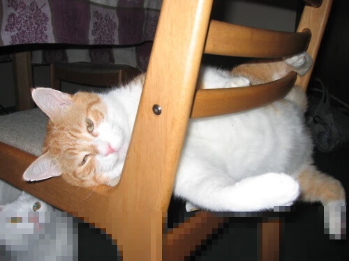 北境雪暴，德罗赞东决生死战攻防两端铸就传奇之夜