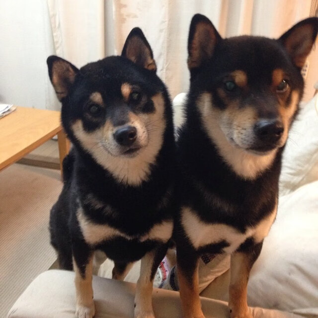 从23分落后到终场逆袭，恩比德如何用节奏暴力为浙江队注入翻盘基因？