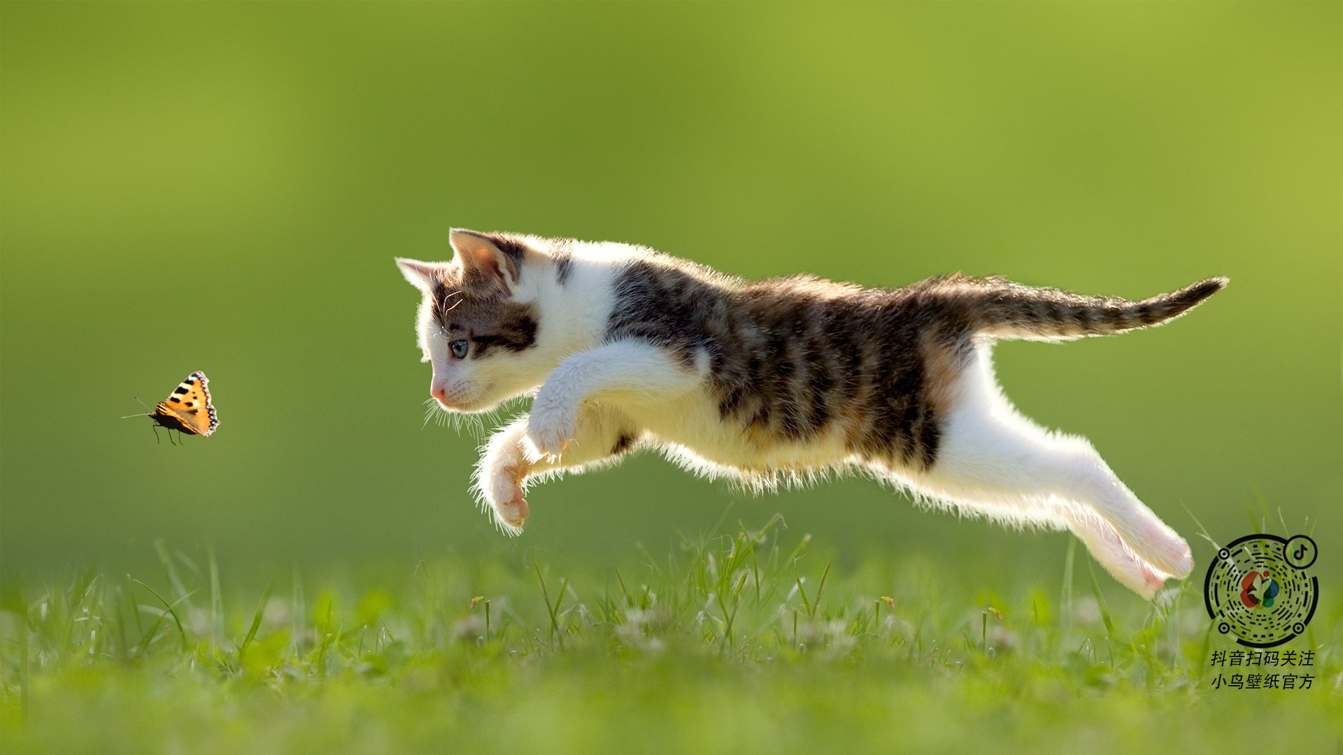 天使振翅改写终章，迪马利亚导演勒沃库森压哨奇迹