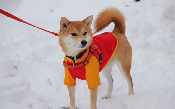 英超争冠之夜，孤勇者米切尔绝境闪光，为冠军天平掷下砝码