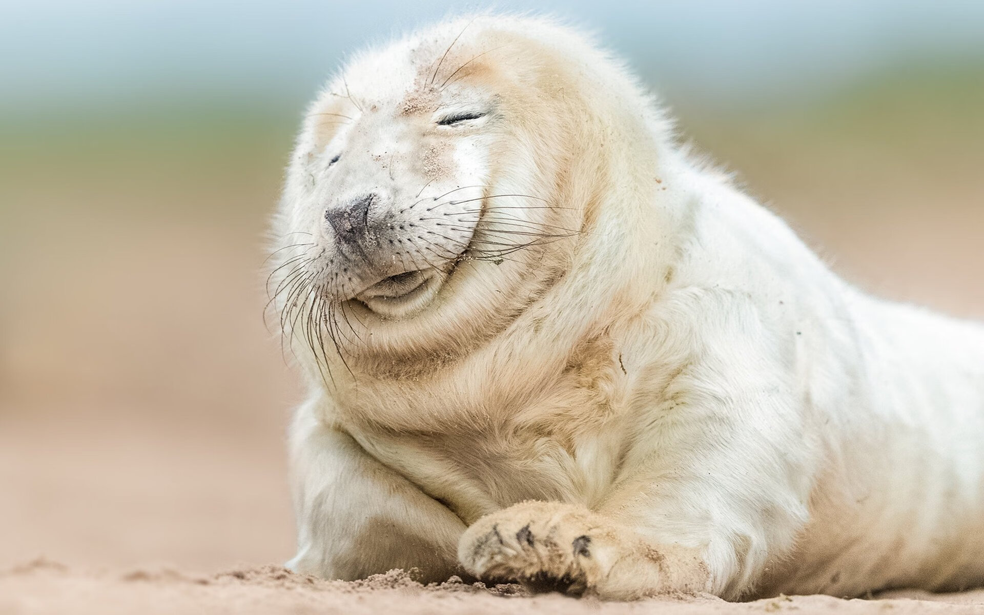 奥利维耶爆发点亮超级逆转，巴拉圭补时绝杀翻盘卡塔尔