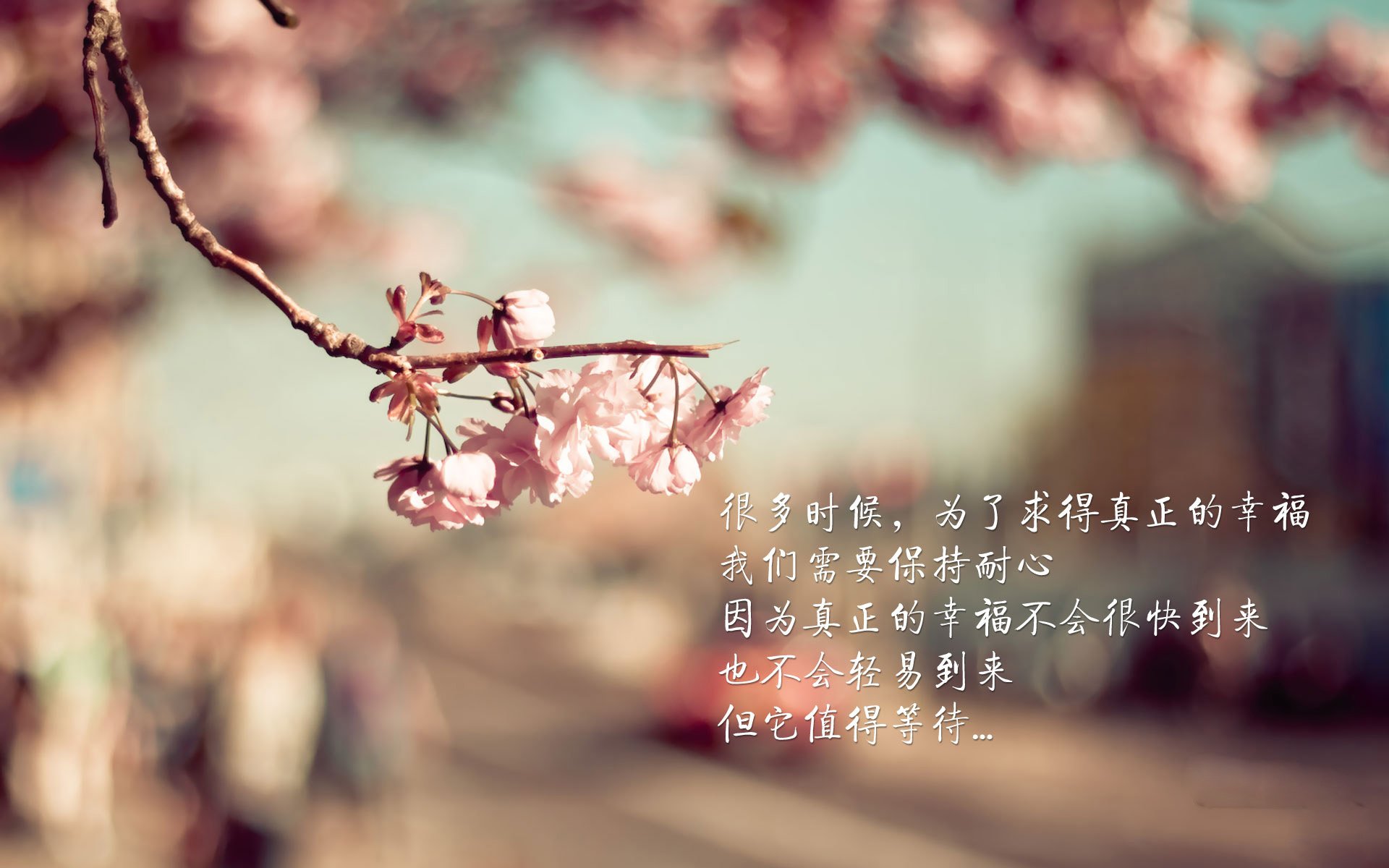 开云体育官方网站-年度焦点之战，曼城绝杀乌拉圭，足球世界的震撼之夜