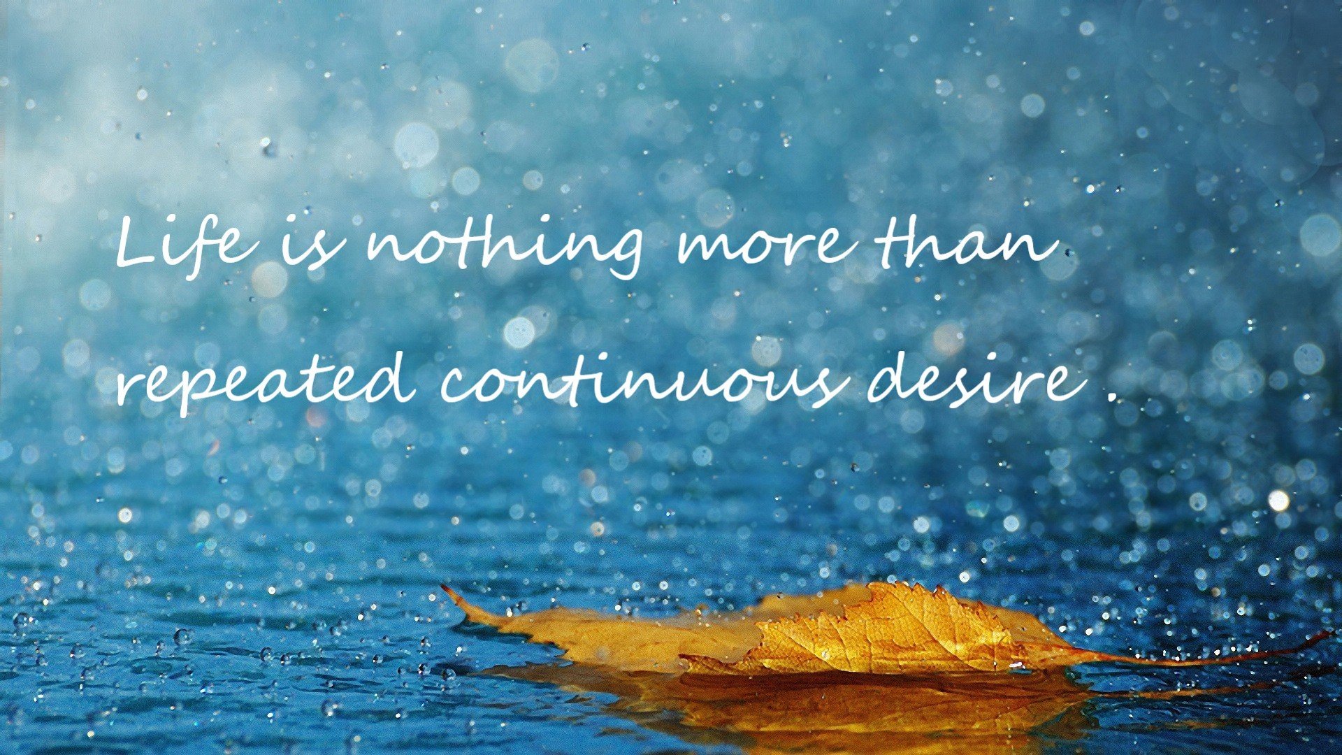 开云体育在线-铸就中距离的丰碑，德罗赞的聚焦之夜