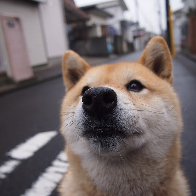 开云体育app-别样赛场同种胜利，浙江绝杀与哈登掌控背后的赢家密码