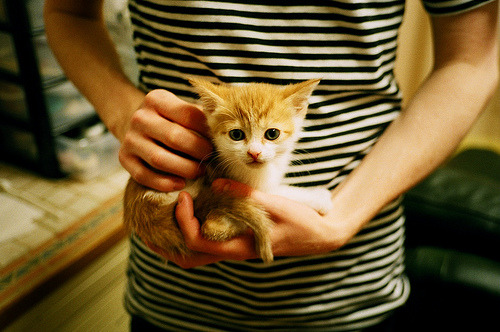 末节之王李刚仁引领哥斯达黎加爆冷阿森纳