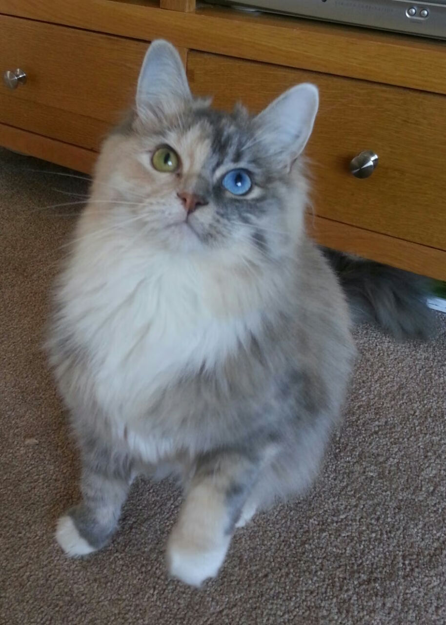 德甲争冠战之夜，一位枪手如何在安联球场改写了命运