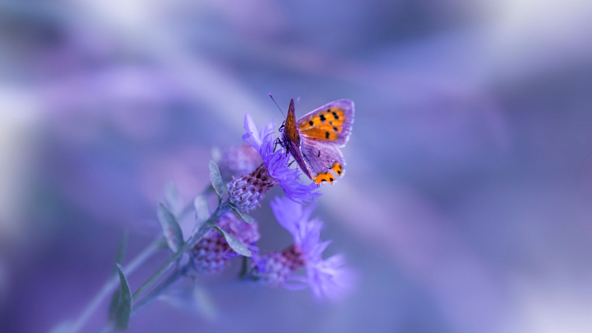 史诗逆转!比利亚雷亚尔终场绝杀勒沃库森