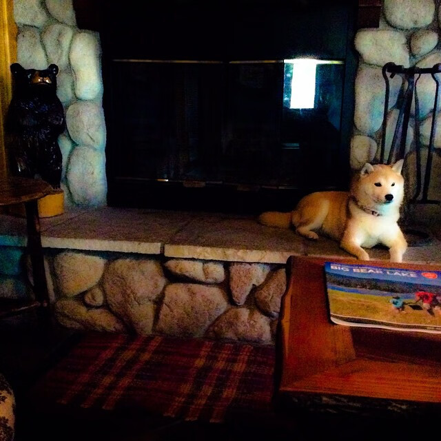 双线争锋，英超争冠白热化，灰熊碾压森林狼晋级再现体育激情