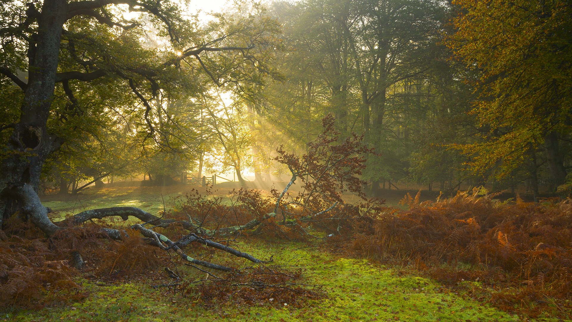 燃擎之夜,美加墨世界杯与硬仗之王克莱的终极试炼